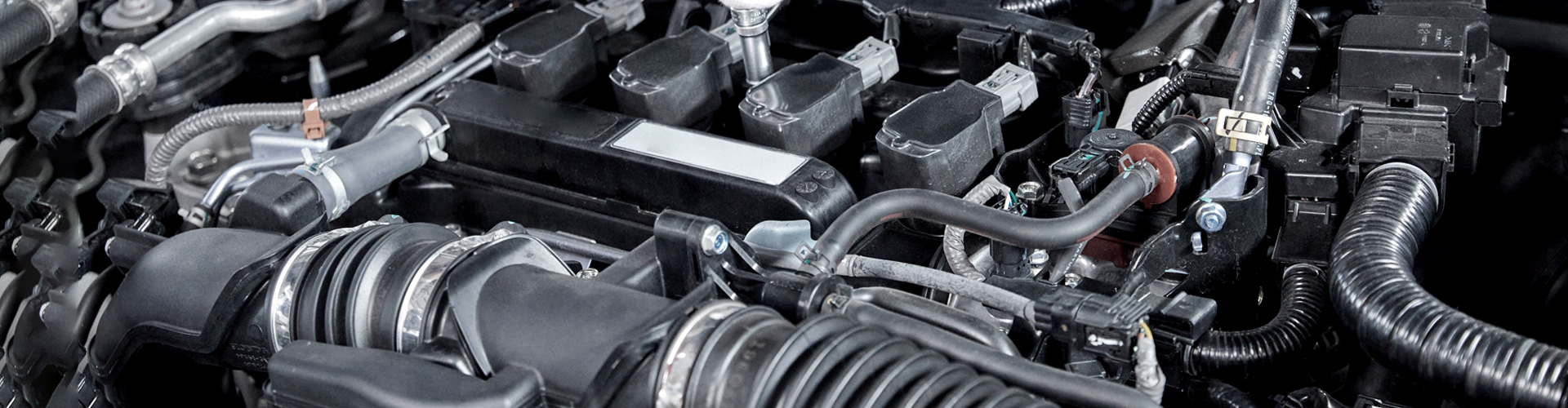 EASILY vika 168澳洲幸运5官网结果记录