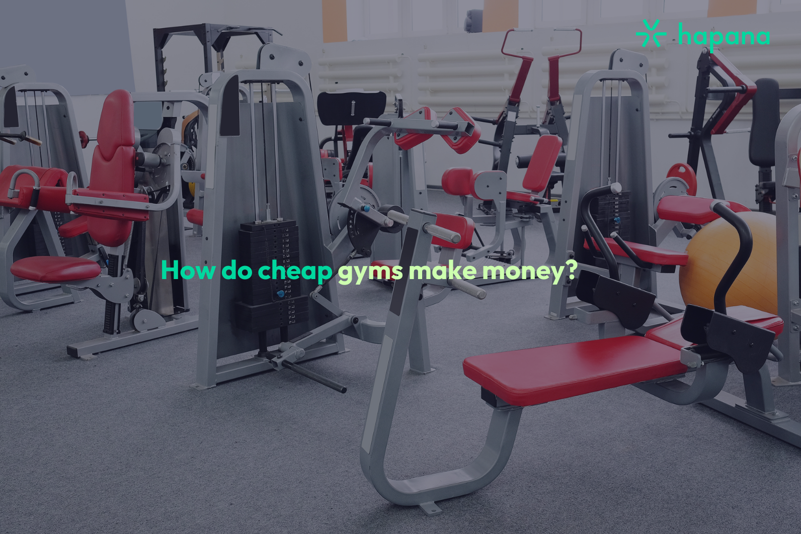 making money in a cheap gym