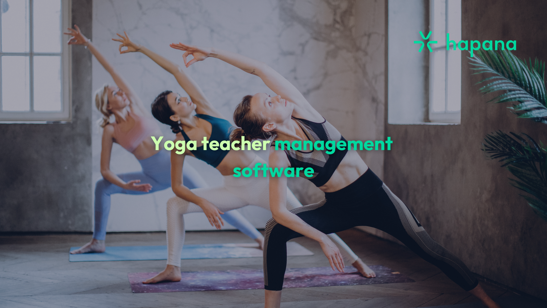 Yoga teacher management software|Yoga Teacher Management Software